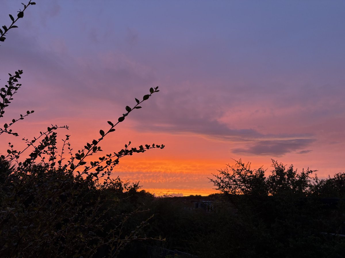 waka_walker's tweet photo. Meanwood Sunset https://t.co/Kksv1S13U0