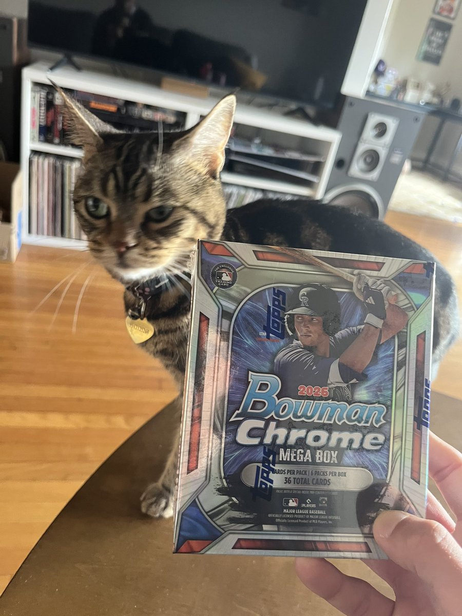 PDXGuardians's tweet photo. Ladybug says $950 in hand +shipping PWE https://t.co/z5HWkDifhd