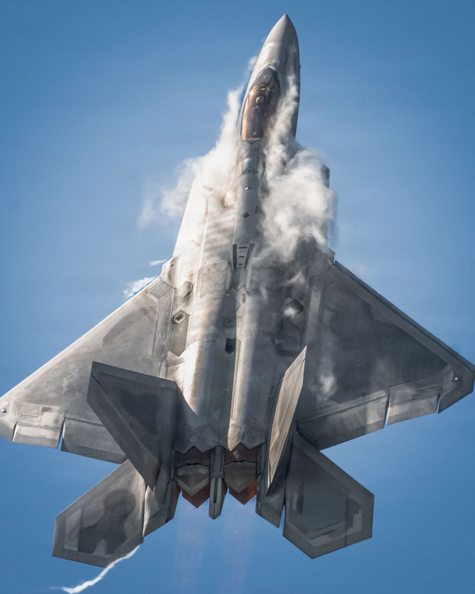 Remnantize's tweet photo. F-22 Raptor https://t.co/AVO7FVtp14