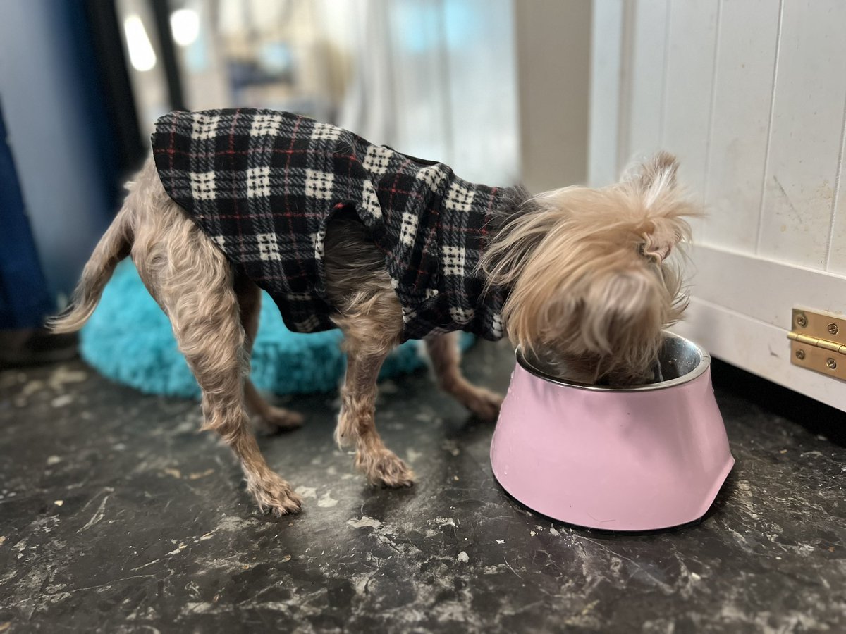 TheHerdHouse's tweet photo. #FallFashionWeek with Jennifer Aniston.
Hello Fall / Hello Flannel https://t.co/K4dMfW3xqN