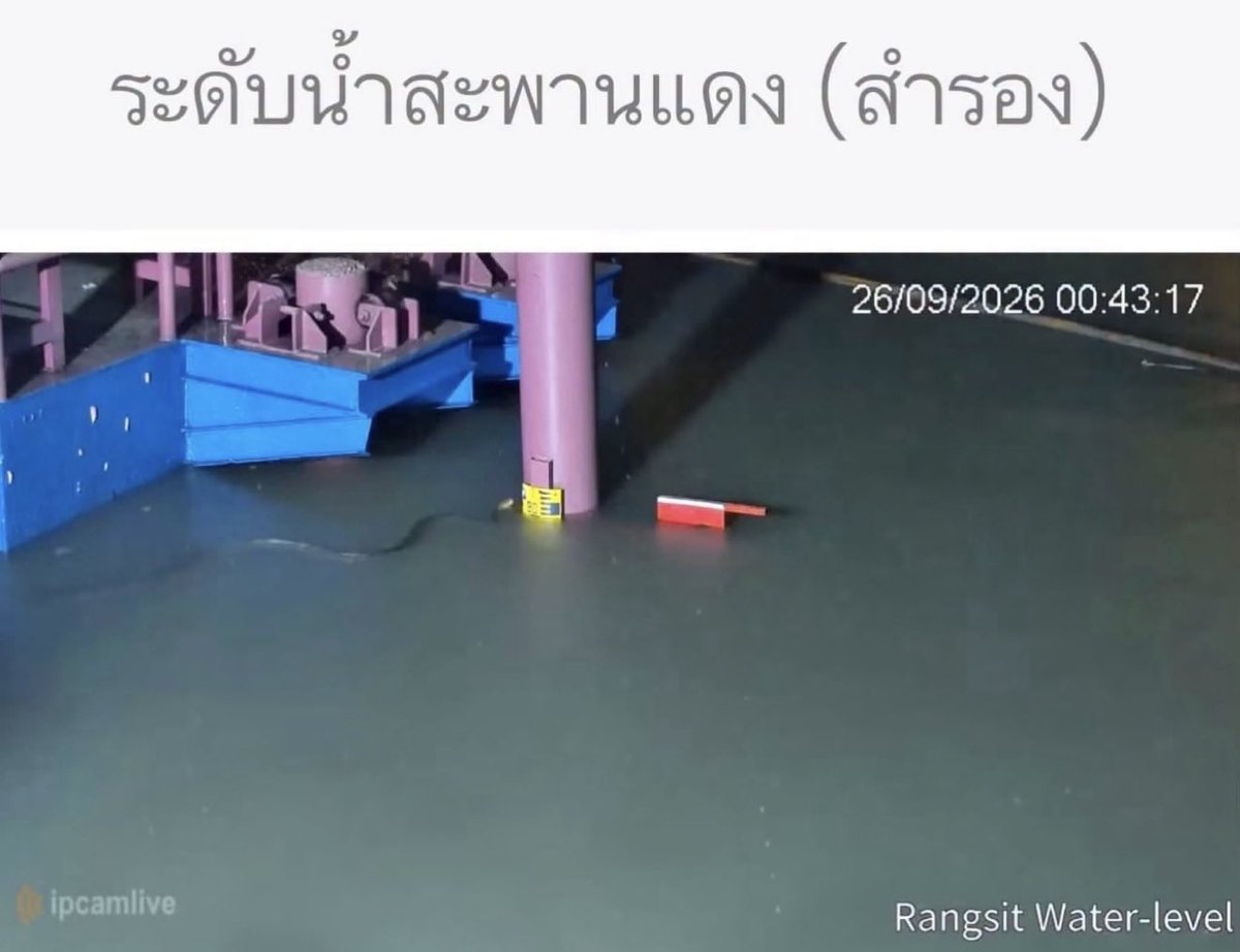 pibimcats's tweet photo. ขนาดงูยังต้องมาเช็คระดับน้ำ แต่พวกลุงๆ ที่บอกไม่ต้องเป็นห่วงนี่รู้ยังว่ามันวิกฤตแล้ว #ฝนตกหนัก #น้ําท่วม #รังสิต https://t.co/jvMzd0bXmT