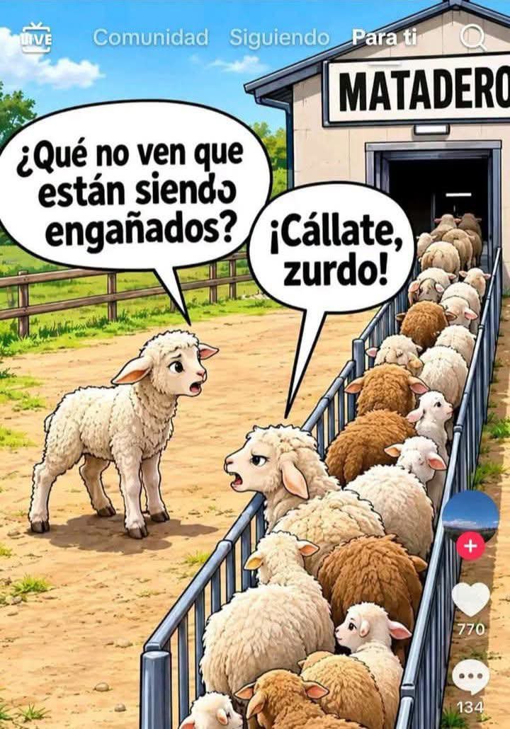 NipotiDaniel's tweet photo. 🐑🐑🐑🐑🐑 https://t.co/ro8CSrBgMI