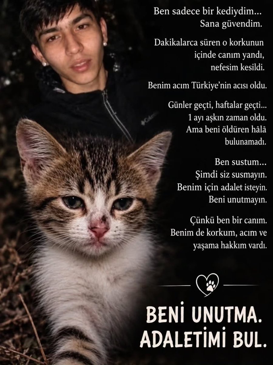 milalov31's tweet photo. unutulucak gibi değil minicik bedeniyle canilerin elinde eziyetle öldü yavrum her gün paylaşacağım o piçler yakalanıncaya kadar #minigiunutma https://t.co/AnWkqC0VQX