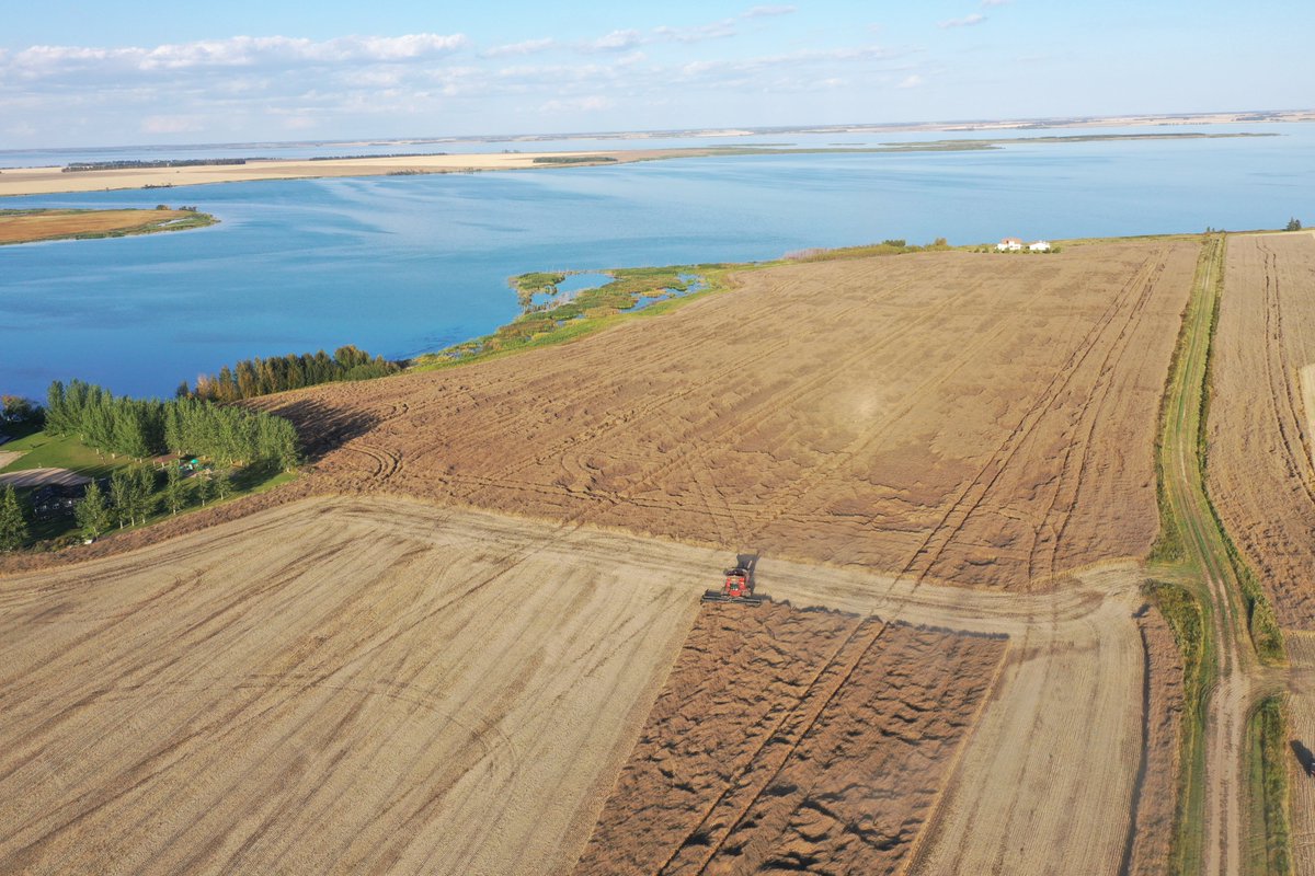 Bayer4CropsCA's tweet photo. Harvest is heating up. First Battle of the Bushels results are rolling in soon.

Check out @Chris_bauer_LL's DK401TL coming off this week at his farm at Lake Lenore, SK with his rep @robmakowsky. Can't wait to share what Chris yielded! https://t.co/ey7oIQabzJ
