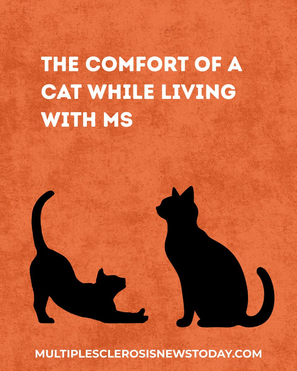 MSNewsToday's tweet photo. Why my cat helps when living with MS: https://t.co/t5tgjmULHg
#MSAwareness #ThisIsMS #MSLife #MSCommunity #MSSupport #MSFighter #MSNewsToday #Bionews https://t.co/gvOQJuHe6o