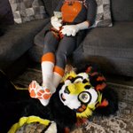 Photo by StarBurst SnackCat (@TwoToofyCats)