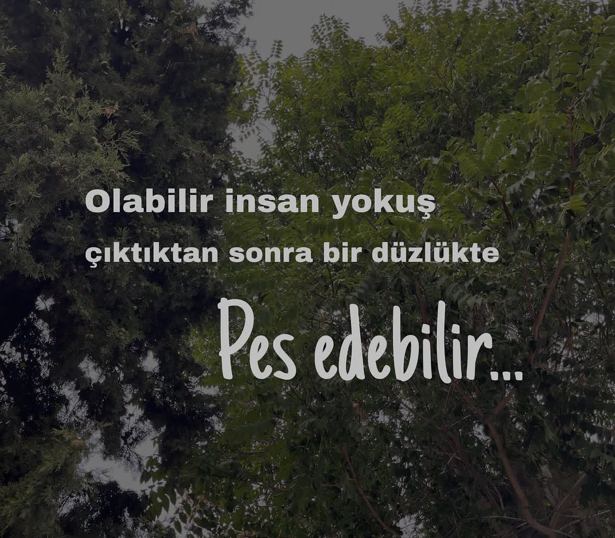 Mustafa779606's tweet photo. https://t.co/f2B5S7XkTR