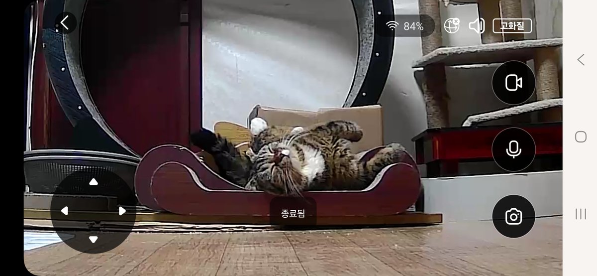 987126t1's tweet photo. 불쌍한데귀여운루루 https://t.co/Dto92nIbEp