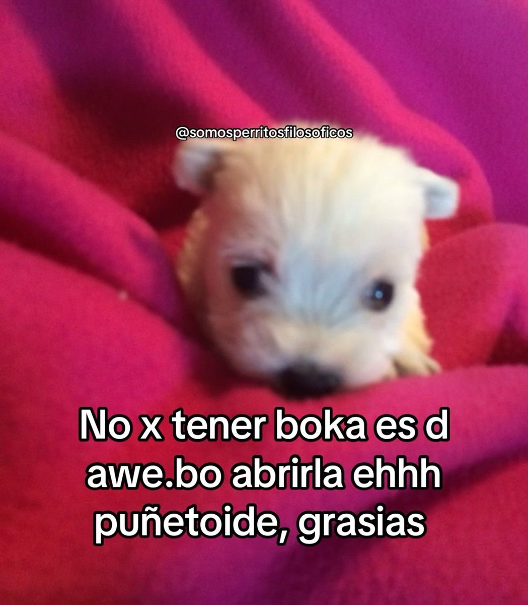tacodessal's tweet photo. Frases que Jovita SÍ diría:

DALILAH EN CYA https://t.co/vzYc9kCO4S
