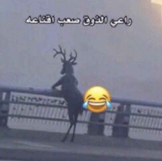 Thoughtws's tweet photo. بحثت عن مدينة اوهايو ولقيت راعي الذوق صعب اقناعه https://t.co/ZzsvL8ONnN