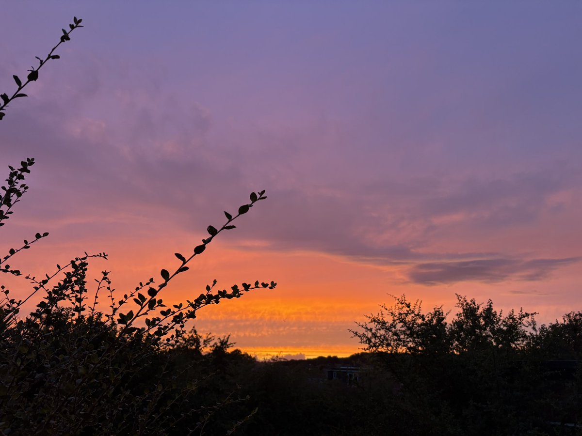 waka_walker's tweet photo. @Hudsonweather Meanwood Sunset https://t.co/OT5IvvGtuV