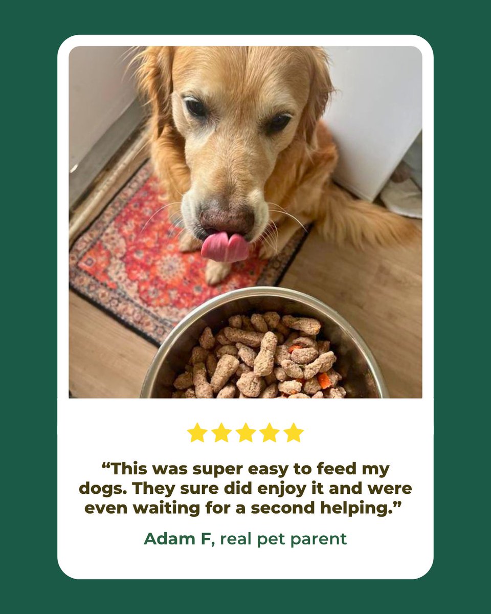 Freshpet's tweet photo. Five stars and clean bowls all around. ⭐️

Adam’s pups were ready for seconds of our Multi-Protein Chicken, Beef and Salmon recipe.

Ready to bring that Freshpet feeling to your pup? Click on the link to find a Freshpet fridge near you: https://t.co/wtVozkSwTp 💚 https://t.co/CfBk17NaMG