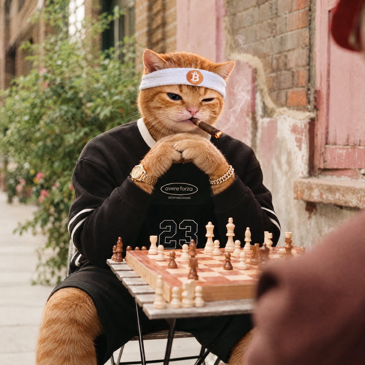 BTCbuythecat's tweet photo. Bitcoin is the category defining asset. The govt is printing more and more money, throwing it into a black hole of debt. Bitcoin is the solution. Bitcoin isn’t just about making us rich, it’s about solving one of society’s most significant problems.

Imagine if Bitcoin didn’t exist. That is TERRIFYING to think what society would look like with govt debt hyperinflation currency collapse and no Bitcoin to save the day.

This problem is so huge, many people are just kindof oblivious to it, living their lives scrolling TikTok etc. Maybe some Bitcoin cat memes are what they need to pique their attention and wake up, They like cat memes, we’ll give them cat memes… and use the cat memes to teach them how the existing fiat monetary system is wrecking their future. We’ve distributed $1.2million in bitcoin so far btw, much of it to first time holders of Bitcoin.