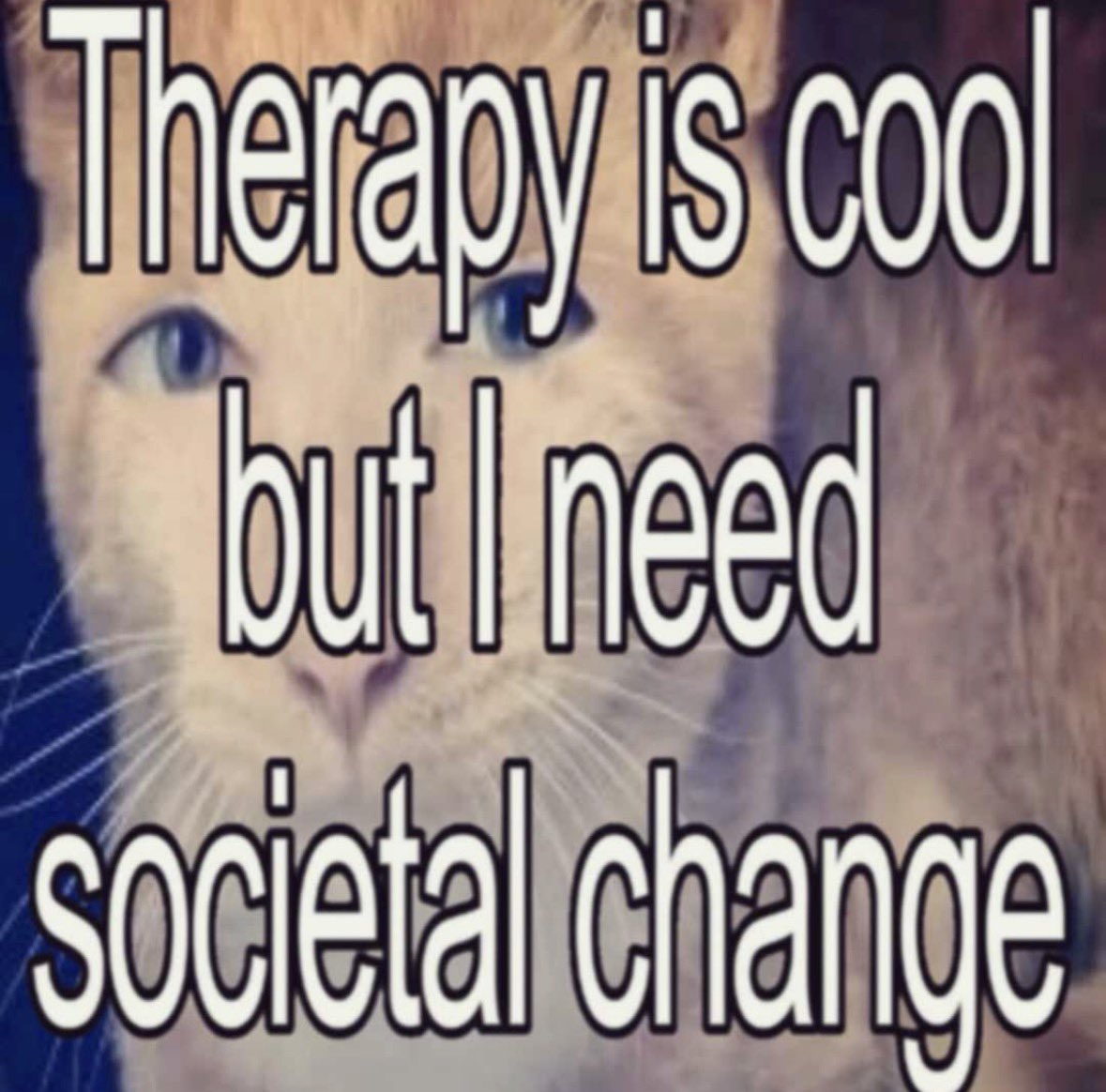 literallymecats's tweet photo. https://t.co/emQRAbHyI3