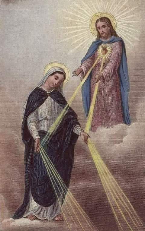 FideiGabriel's tweet photo. essa imagem é a maior representação da intercessão de Maria, é o que nós católicos queremos explicar pra muitos. https://t.co/30RrHAXIrq