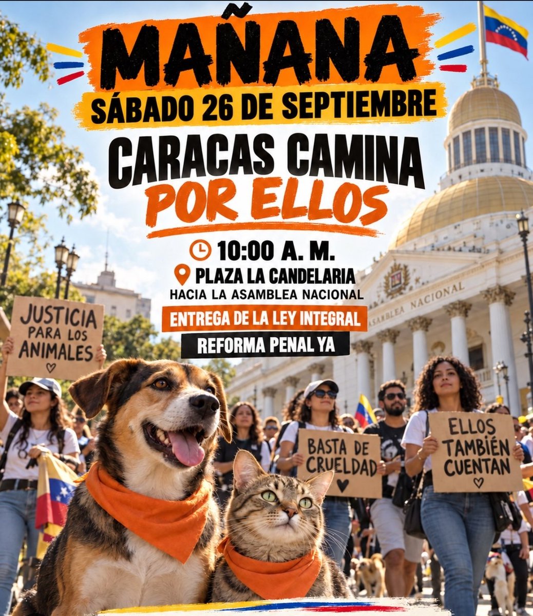 RobertLobo_'s tweet photo. 🚨🐕 Gran manifestación mañana en favor de los animales, por los que no tienen voz pero sienten y padecen. Los que siempre están ahí para nosotros sin importar las circunstancias. Será una caminata hacia la AN

10:00 a.m.
Plaza La Candelaria, Caracas.
Ve con tu mascota https://t.co/1Cbxot5uZF