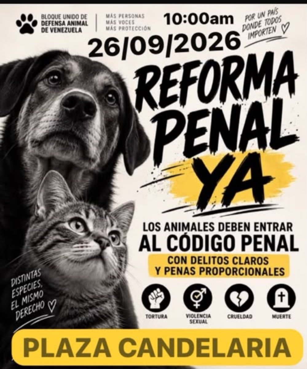 RobertLobo_'s tweet photo. 🚨🐕 Gran manifestación mañana en favor de los animales, por los que no tienen voz pero sienten y padecen. Los que siempre están ahí para nosotros sin importar las circunstancias. Será una caminata hacia la AN

10:00 a.m.
Plaza La Candelaria, Caracas.
Ve con tu mascota https://t.co/1Cbxot5uZF