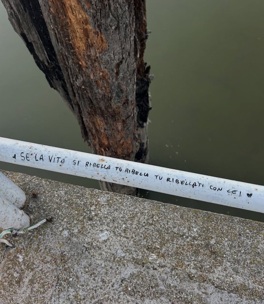 fedetropical's tweet photo. Foto non mia MA che bellezza trovare queste poesie su una ringhiera qualsiasi https://t.co/4zUkN2Zaft