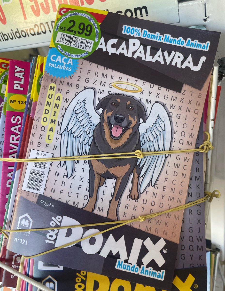 Kounnn_'s tweet photo. voltando pra casa eu achei um caça palavras do cachorro orelha https://t.co/q8MptnS048
