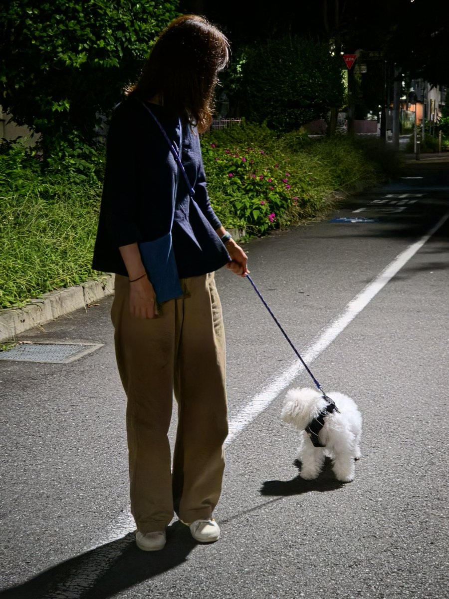 DensukeIde's tweet photo. お散歩デビュー
でもほとんど抱っこ…
#ボロビション　#ふくのすけ #fukunosuke https://t.co/SP5oK8qbgu