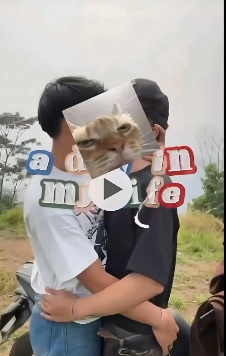 Chung9y2's tweet photo. A Day in My Life Gay Viral✌️👎
https://t.co/dMBJRGXgfg
Banyuwangi Man
https://t.co/dMBJRGXgfg
Hotel Employee
https://t.co/dMBJRGXgfg
Nabila Zirus
https://t.co/dMBJRGXgfg
Almost Caught
https://t.co/dMBJRGXgfg
Fierce Hijab
https://t.co/dMBJRGXgfg
👍👍
#sex. #nsfw https://t.co/6ZcZTBNYDm