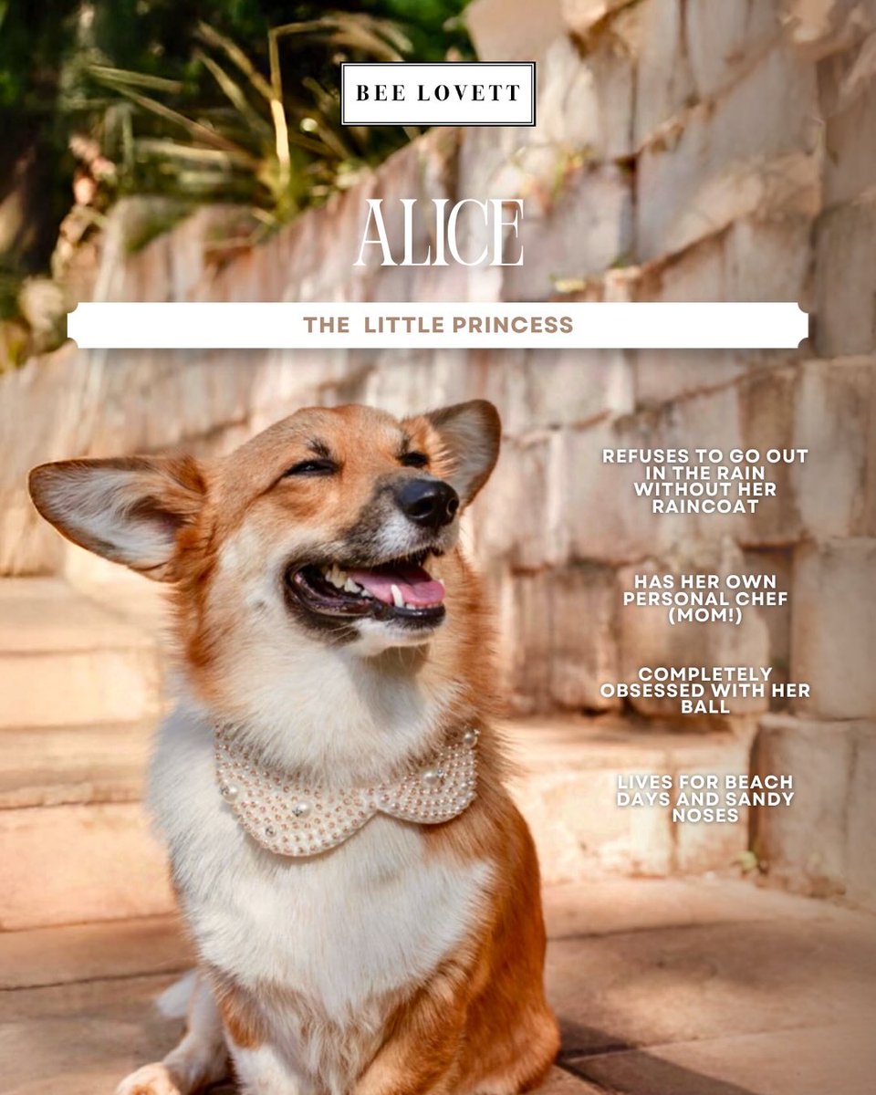 manemaniaco's tweet photo. Meet Alice and Rosie, our newest Bee Lovett ambassadors. Two beautiful girls with distinct personalities: Alice loves beach days and pampering, while Rosie thrives in rain, mud, and adventure. Together, they embody playful, timeless style. https://t.co/pfKPqsG54B