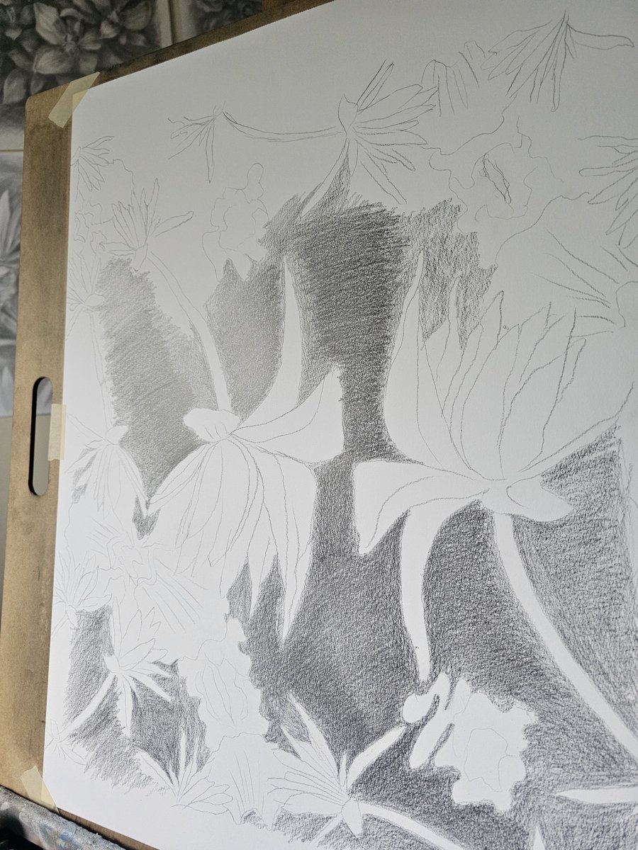 agatadprawdzik's tweet photo. _____ in progress,...
#floraldrawing
#graphiteonpaper https://t.co/zNHBbJ3Xkh