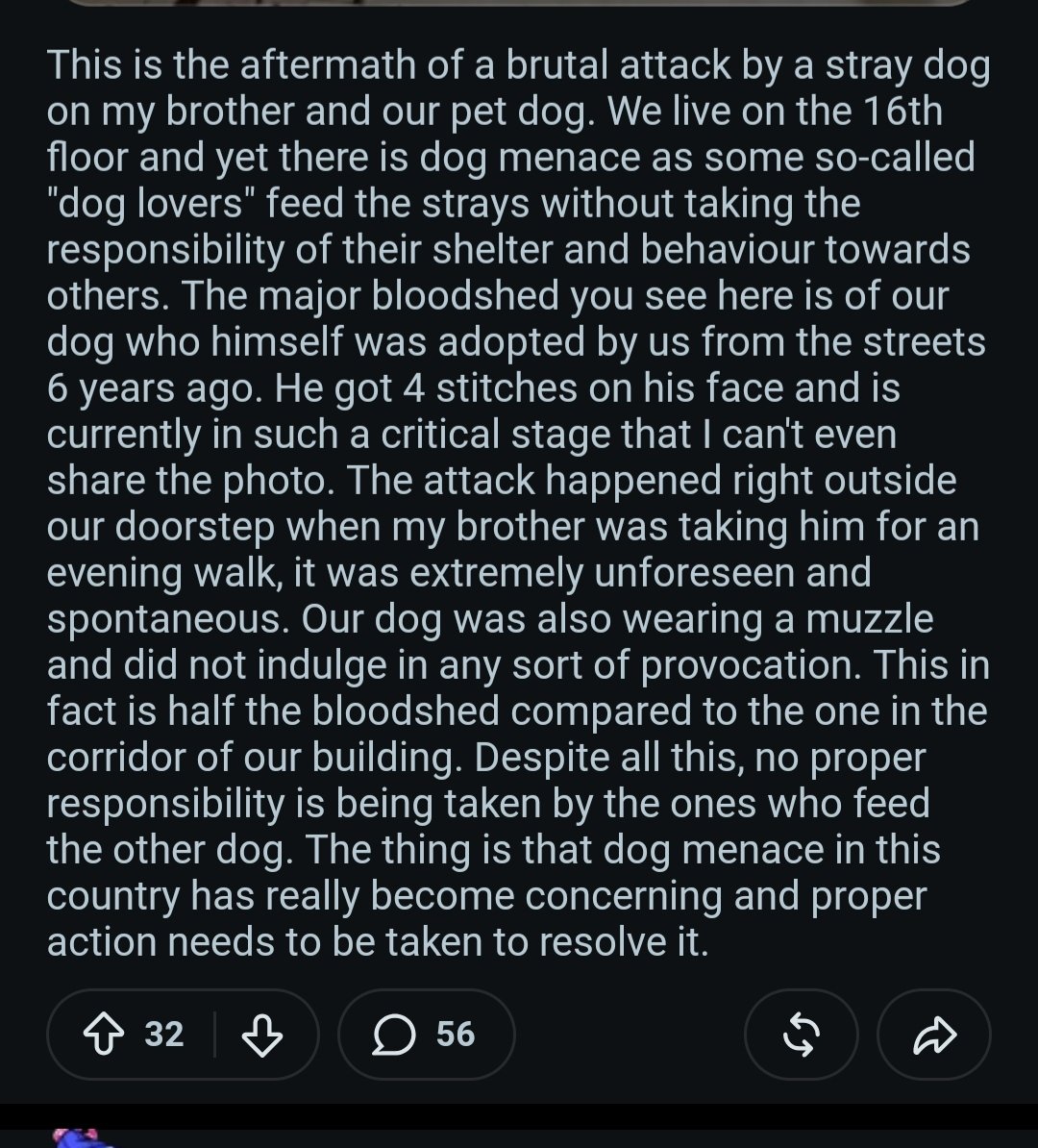 TilluPrime's tweet photo. A stray dog did this incredible bloodshed on a 16th floor apartment.
The victim of stray dog is fighting for life in hospital.
Looking at the blood loss, unlikely that he will survive. 
No one is safe from #StrayDogMenace.  https://t.co/E6ojWBIsa4