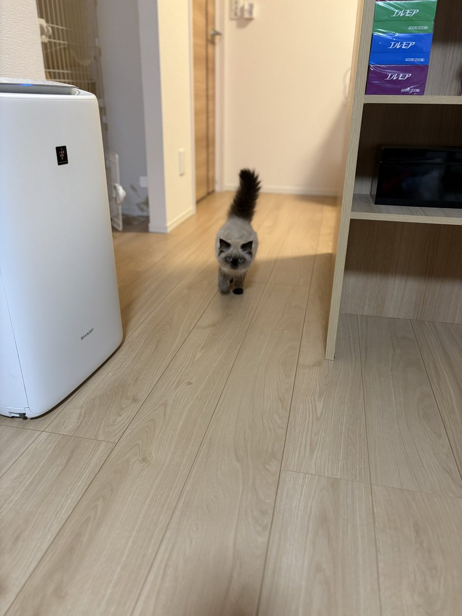 zpuya8's tweet photo. https://t.co/BqCNk5ZcL5