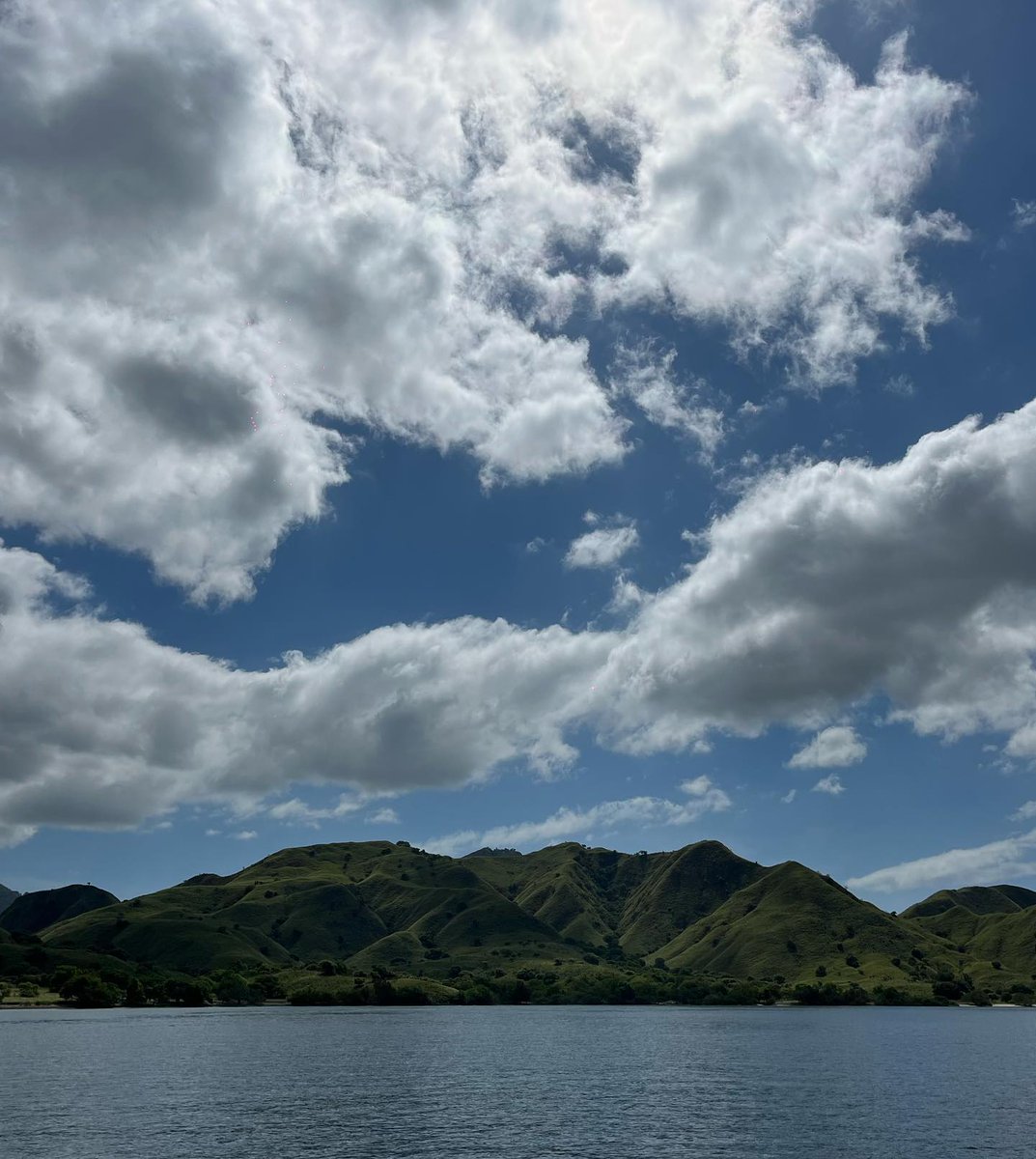 MeridethMazd's tweet photo. Komodo dream. https://t.co/t9xncZvsIu