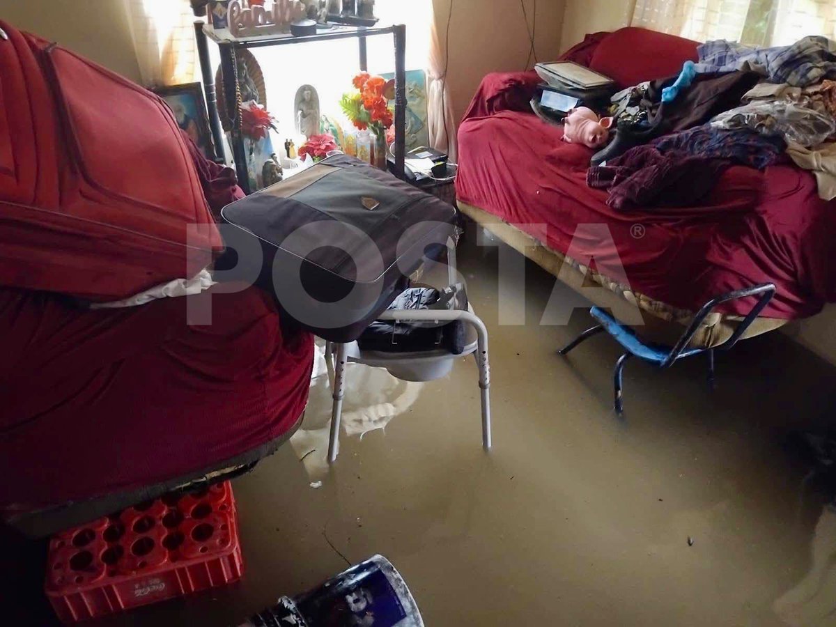 POSTATamaulipas's tweet photo. 🔴📢“Estamos invadidos de agua”, comparte una vecina de la colonia Candelario Garza, al estar su domicilio inundado y sus bienes comenzando a dañarse tras las fuertes lluvias del sur de #Tamaulipas.

#POSTATamaulipas #LluviasIntensas #inundaciones https://t.co/ReMTDmoIUS