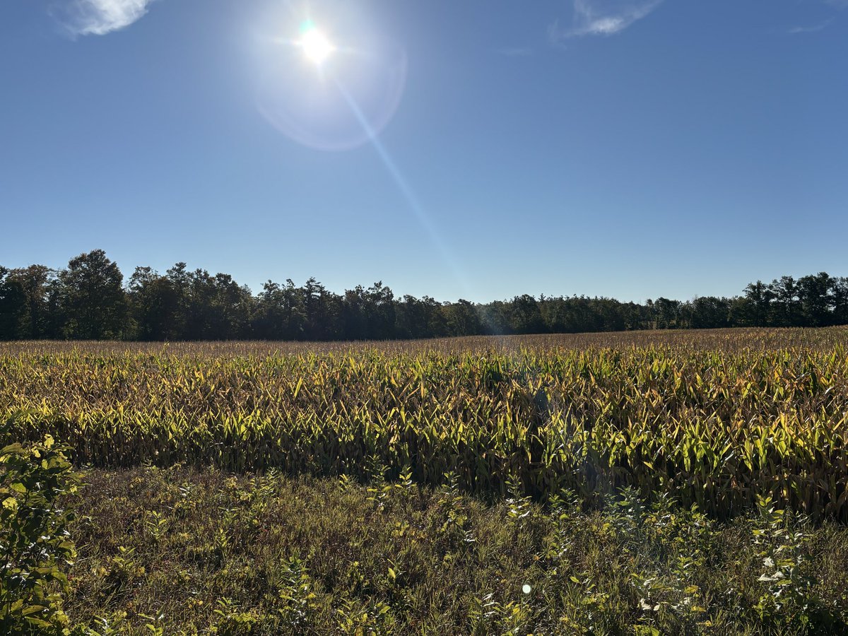 Dohboy6969's tweet photo. TGIF! 😎🍻🍂#FallFriday #BassLake #8MilePoint #LakeSimcoe #OroMedonte https://t.co/3IimBObM8q