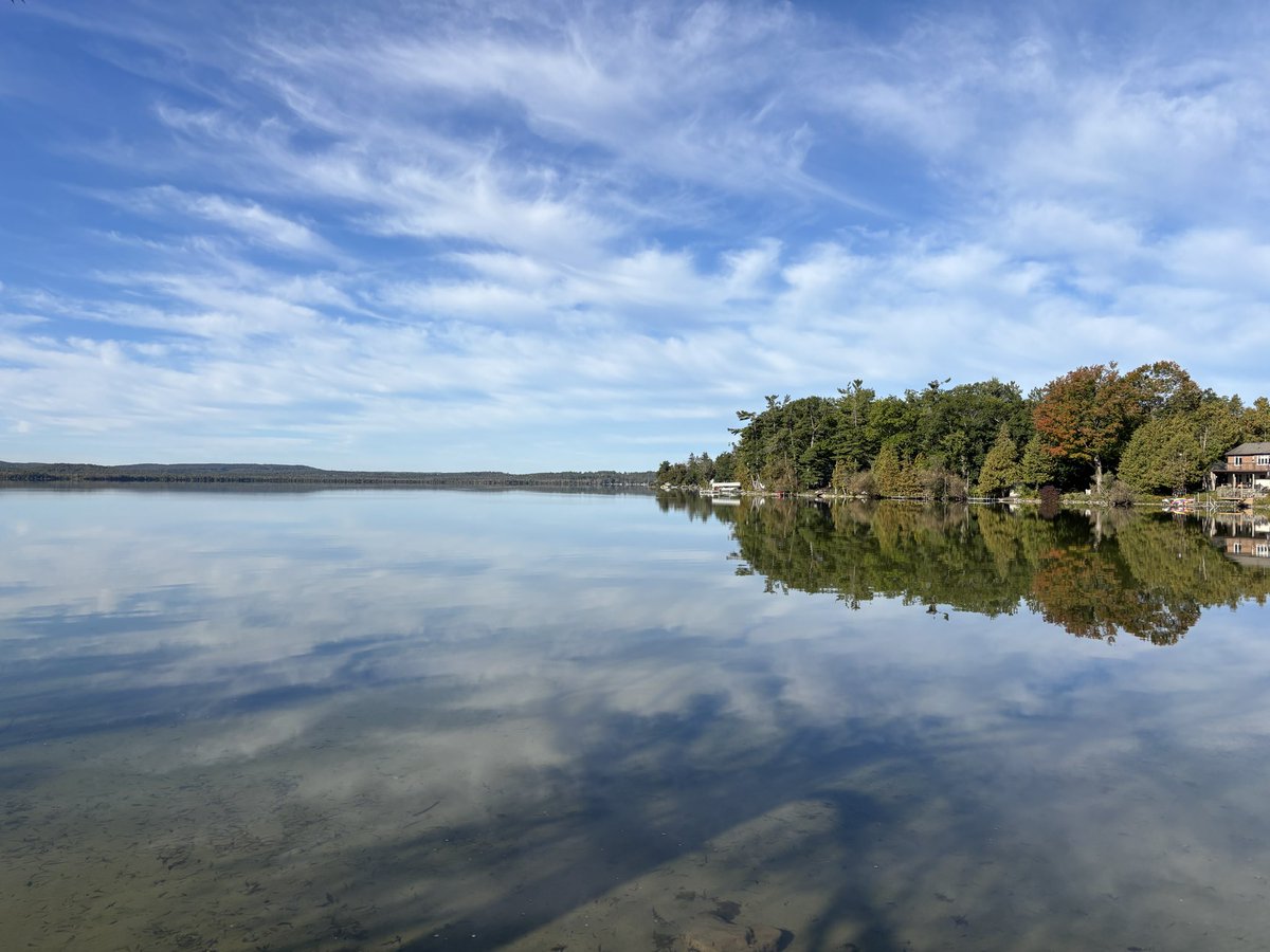 Dohboy6969's tweet photo. TGIF! 😎🍻🍂#FallFriday #BassLake #8MilePoint #LakeSimcoe #OroMedonte https://t.co/3IimBObM8q