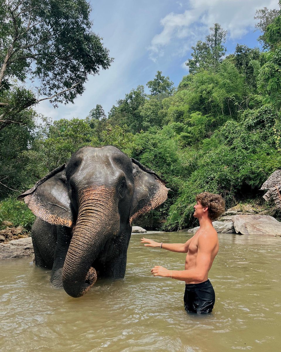 MeridethMazd's tweet photo. Chiang Mai did not disappoint. https://t.co/1yrLLgbZD7