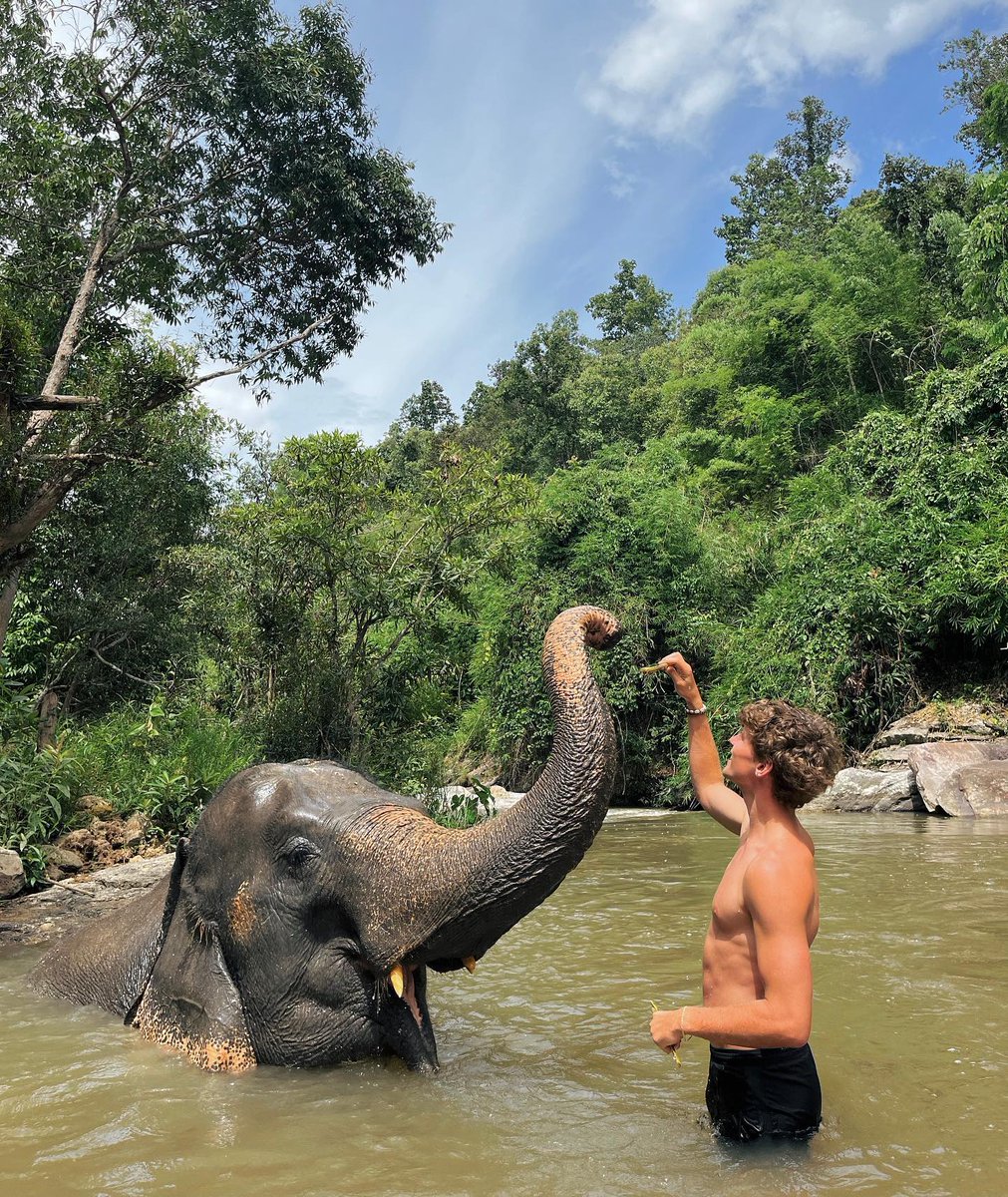MeridethMazd's tweet photo. Chiang Mai did not disappoint. https://t.co/1yrLLgbZD7