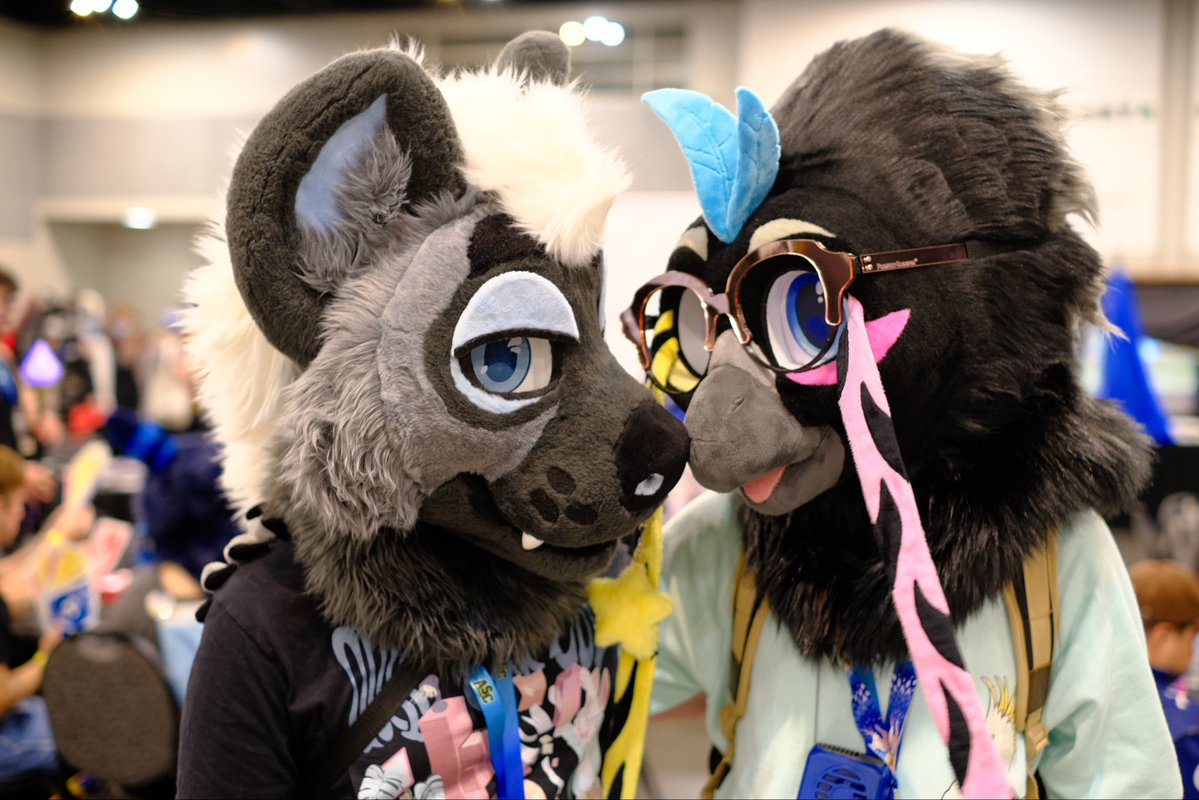DareTheYeen's tweet photo. Birdwatching 👀 for #fursuitfriday with @GemelliPog https://t.co/XADNNGx5r6