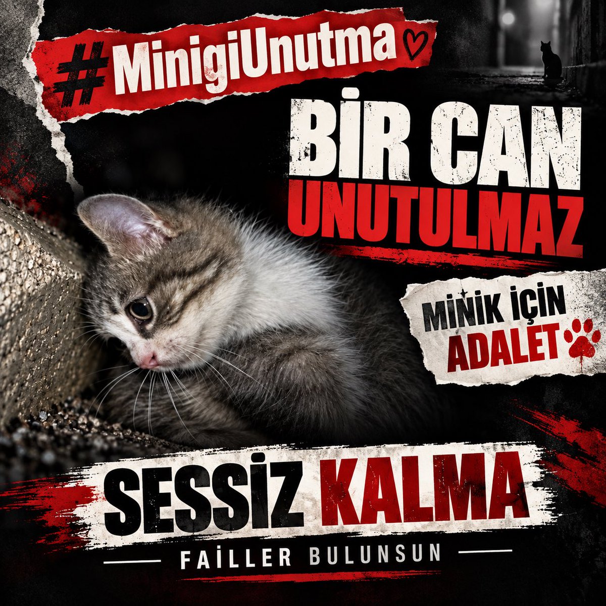 kochero's tweet photo. Minik’i unutma.

Bir yavru kedinin canı gitti.
Ama onun ardından kalan soru hâlâ burada:

Kim yaptı? Neden hâlâ bulunmadı?

Zaman geçiyor diye öfkemiz dinmeyecek.
Gündem değişiyor diye hafızamız silinmeyecek.

Minik artık yok.
Bu yüzden onun için biz konuşacağız.

Adalet gelene kadar bu ses susmaz.

🐾 Minik için adalet.
🐾 Failler bulunsun.
🐾 Sessiz kalma.

#MinigiUnutma