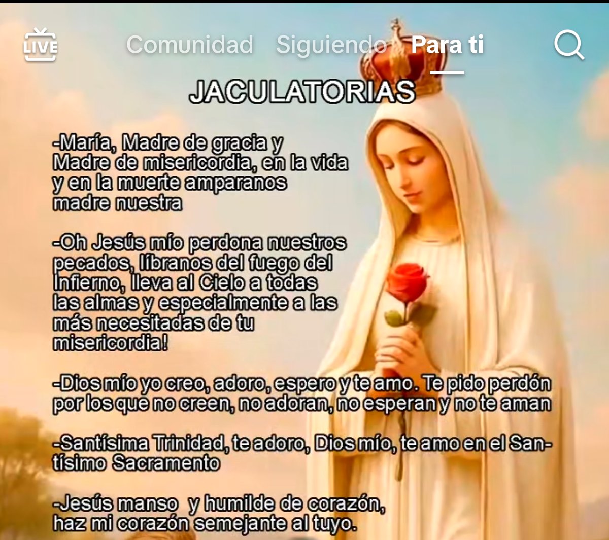 hiseipc's tweet photo. @petrogustavo Debería aprenderce estás oraciones para que se acoja a Dios y la Virgen María 🧐 https://t.co/BqAswrymXE