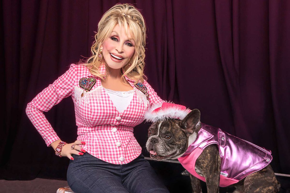 AnimalBehaviorC's tweet photo. Happy Dolly Parton Day! 

From all of us at ABC to all the Doggy Partons out there: may your day be filled with wagging tails  &amp; sparkle! 🐶💖

Because working 9 to 5 is a lot more fun when your coworker has four paws. 🐾😉

#DollyPartonDay #DollyParton #AnimalBehaviorCollege https://t.co/ziij2dMaiM