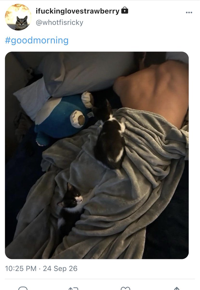 rickyscoli's tweet photo. Bonus https://t.co/c4lUrvZbmt