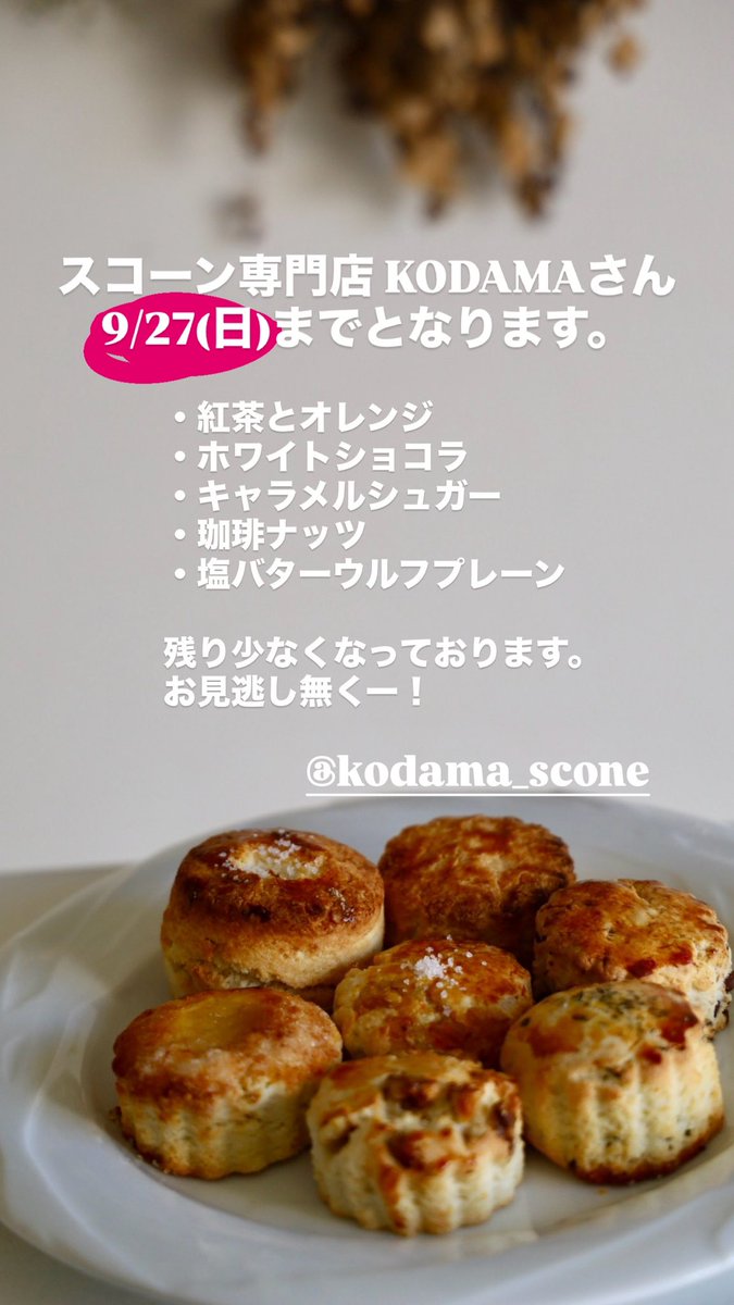 BlueApple2021's tweet photo. スコーン専門店KODAMAさんの
期間限定出店は9/27(日)まで

残り少なくなっている
フレーバーもございます！
お見逃し無くー！

 #スコーン  #足利市 #スイーツ https://t.co/BOfCGGikFa