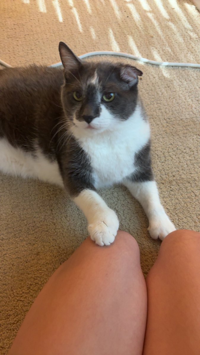 noturputhy's tweet photo. He’s such a good boy🤍 https://t.co/kEn4goBjXy