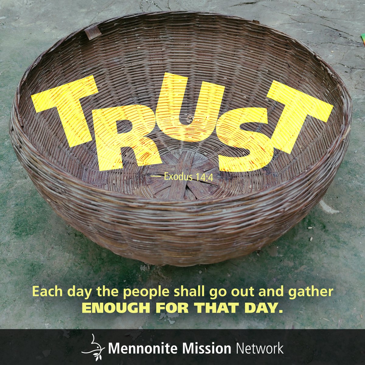 MennoMissionNet's tweet photo. Exodus 16:2-4
#Exodus #Scripture https://t.co/YjOZrHCSWh