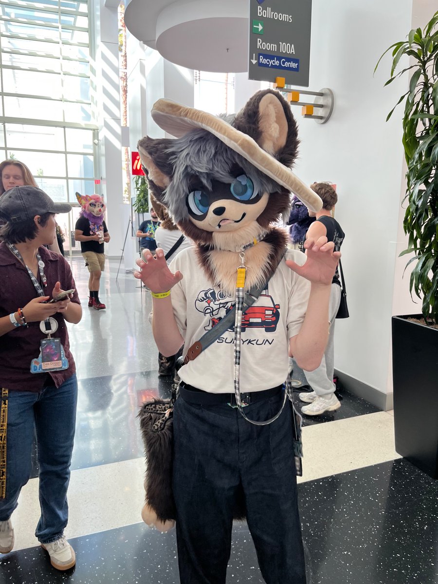 StitchFox1's tweet photo. Some pics from Anthro SoCal 2026!
#ASC2026 
1 https://t.co/Fo1LKnWqJQ