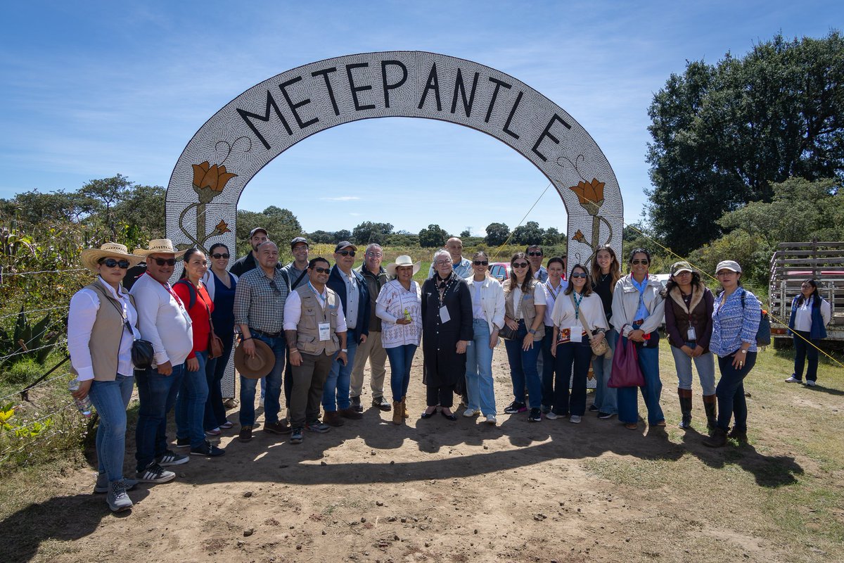 UPRAColombia's tweet photo. Para #Colombia🇨🇴, visitar el Metepantle fue una lección valiosa. Un Sistema Importante del Patrimonio Agrícola Mundial (#SIPAM) no es solo un reconocimiento: abre oportunidades de ingresos para los productores rurales a través de productos tradicionales, ecoturismo y agroturismo, y convierte la conservación en desarrollo.

Lo que aprendimos en Tlaxcala nos ayuda a avanzar hacia la candidatura del Sistema de Ganadería Tradicional y Agroalimentario de las Sabanas Inundables de Paz de Ariporo, #Casanare, como el primer #SIPAM del país.  #CampoMilagro

Foto: @FAO_Colombia
