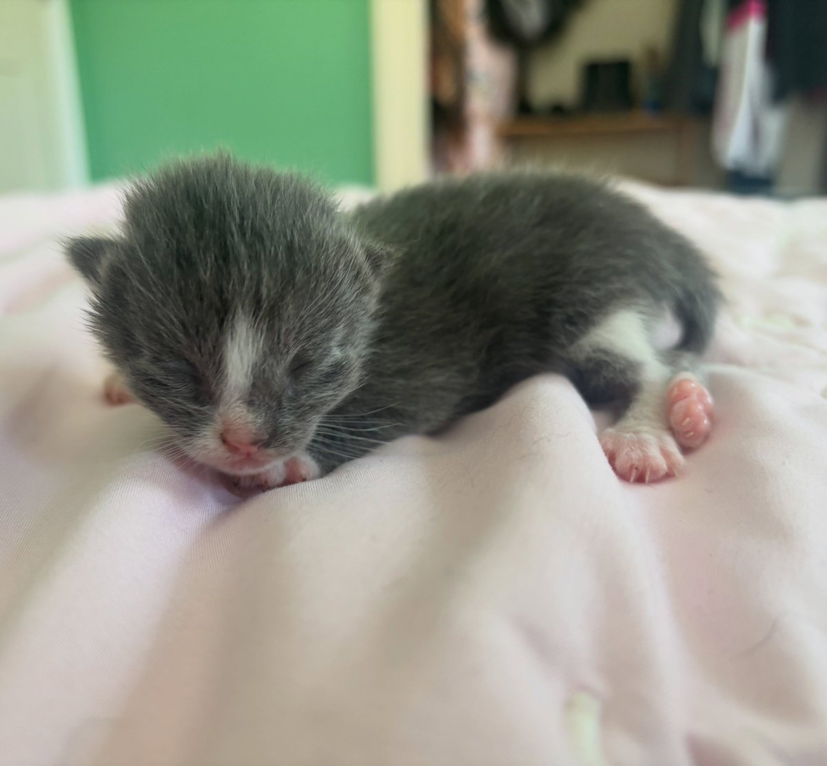 ThomasBalcos's tweet photo. Lil Baby https://t.co/yKBoTTEUaL