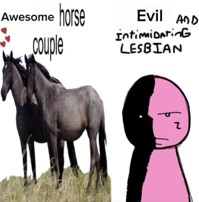 itslucasin's tweet photo. evil and intimidating lesbian https://t.co/hk6rvKR8xG