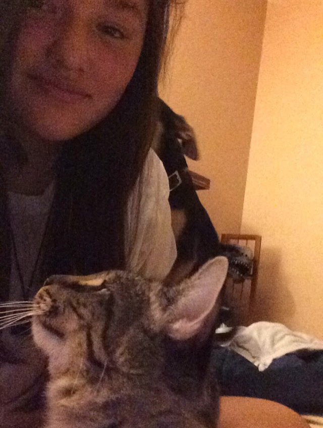 ThomasBalcos's tweet photo. Sassy and Gracie https://t.co/tlitCa4T12