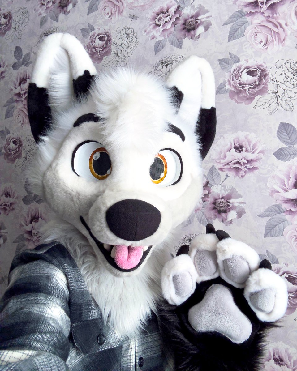 kesufox's tweet photo. Floral Fox Friday :3 🌹🤍 https://t.co/Wyn8evlMT7