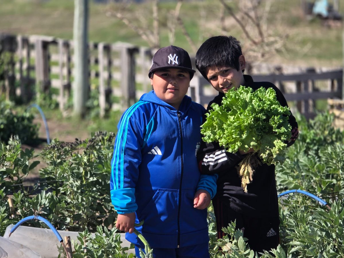Val_Fabian's tweet photo. 🌱💚 Día de cosecha en la Huerta Comunitaria #ElPocho de #VillaNocito.

Una jornada hermosa, de esas que nos recuerdan todo lo que podemos lograr cuando trabajamos juntos, con las manos en la tierra y la mirada puesta en la comunidad.🙌

Cosechar lo que sembramos es mucho más que obtener alimentos: es compartir, aprender, encontrarnos y seguir construyendo soberanía alimentaria desde cada barrio.🥬🌱

Gracias a cada vecino y vecina que estan comprometidos dia a dia en hacer crecer este espacio.❤️

#HuertasDeLaCiudad🍅🥦🌼 del @MunicipioBahia.